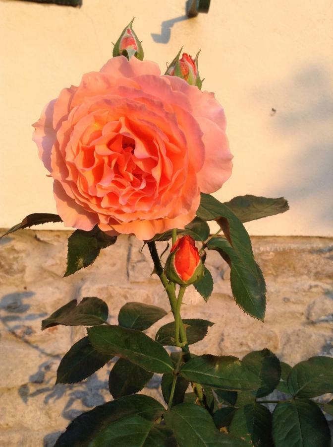 Fiesole In Giardino B&B Ngoại thất bức ảnh